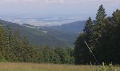 Trail Walking Métabief - Metabief/ lac du Morond - Photo 9