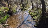 Trail Walking Waimes - Peak brune - Photo 10