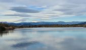 Tour Wandern Fréjus - étangs de Villepey - Photo 11