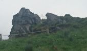 Excursión Senderismo Mont-Dore - départ Capucin vers puy de Sancy en passant par le pas de l'âne retour chemin des artistes 2019-25-06  - Photo 14