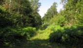Trail Walking Lacroix-Saint-Ouen - en forêt de Compiègne_35_la Croix Saint-Sauveur_le Ru du Goderu - Photo 13