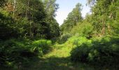 Excursión Senderismo Lacroix-Saint-Ouen - en forêt de Compiègne_35_la Croix Saint-Sauveur_le Ru du Goderu - Photo 13