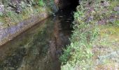 Percorso Marcia Saint-Cézaire-sur-Siagne - Le canal et la rivière de la Siagne  - Photo 14