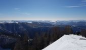 Tour Schneeschuhwandern Colmars - LAUPON 23.02.19 - Photo 12