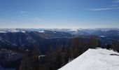 Randonnée Raquettes à neige Colmars - LAUPON 23.02.19 - Photo 12