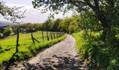 Trail Walking Liège - Promenade du Vallon du Ry-Ponet  - Photo 1