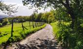Excursión Senderismo Lieja - Promenade du Vallon du Ry-Ponet  - Photo 1