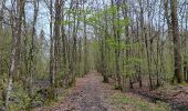 Randonnée Marche Chimay - tour du lac de virelle - Photo 18