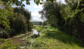 Randonnée Marche Champigny-sur-Veude - Champigny-sur-Veude - Richelieu Chaveignes - 23.2km 180m 5h15 (50mn) - 2024 09 10 - Photo 4