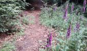 Trail Walking Bouillon - rochehaut 180620 - Photo 3