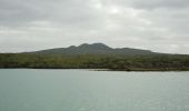 Randonnée A pied Waiheke - Rangitoto Coastal Walk - Photo 6