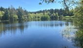 Trail Walking Vecoux - Chaudefontaine -grand lac- Chaudefontaine  - Photo 4