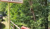 Tocht Stappen Rochesson - Les Roches Saint-Jacques et la Cascade du Bouchot - Photo 4