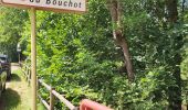 Trail Walking Rochesson - Les Roches Saint-Jacques et la Cascade du Bouchot - Photo 4