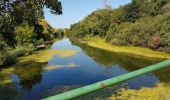 Tocht Stappen Taugon - route de l eau - Photo 2