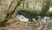 Tour Zu Fuß Deißlingen - SAV rotes Plus Maienbühl-Oberrotenstein - Photo 1