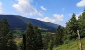 Tour Wandern Münster - Moutier  - Photo 7