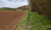 Trail Walking Mesnil-en-Ouche - Epinay - Photo 3