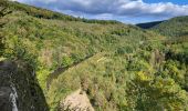 Tour Wandern Bouillon - Rochehaut 051024 - Photo 4