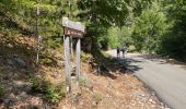 Trail Walking Palneca - 4 eta gr 20 Col de veldre - Campanelle Ghisoni - Photo 6