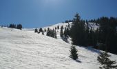 Randonnée Raquettes à neige Manigod - la cime d orcieres  - Photo 3