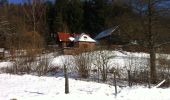 Tocht Te voet Bischbrunn - Schwarzer Fuchs, Rundwanderweg Weihersgrund am Sylvan - Photo 4