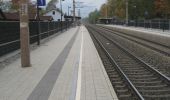 Excursión A pie Gemeinde Ternitz - Pottschach Bahnhof - Buchbach - Gasteil - Pottschacher Hütte - Photo 9