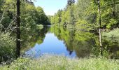 Tour Zu Fuß Kreuzwald - Circuit Etangs et Lacs - Photo 4