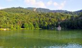 Tocht Te voet Baia Sprie - Lacul Bodi – intersecție traseul BA - Photo 5