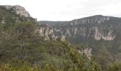 Excursión Senderismo Saint-Pierre-des-Tripiers - Sentier des corniches de la JONTE - Photo 3