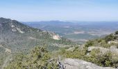 Trail Walking Brignoles - l'Amarron - Photo 18