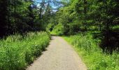 Trail On foot Ebrach - Rundweg 