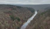 Tocht Stappen Florenville - Les Epioux 030222 - Photo 4