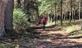 Trail Walking Chaveroche - parcours_2763139 - Photo 1