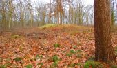 Trail On foot Renkum - Hartensepad - Photo 4