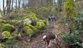 Randonnée Marche Le Tholy - Sentier de la Roche Au Blaireau depuis le gîte  - Photo 11
