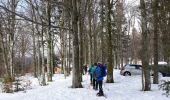 Trail Snowshoes Lepuix - Ballon d'Alsace - Photo 1