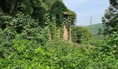 Tour Zu Fuß Rothenfels - Ortswanderweg Rothenfels 1 - Photo 6