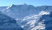 Tocht Te voet Grindelwald - First - Grosse Scheidegg (Höhenweg 2400) - Photo 4
