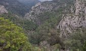 Excursión Senderismo Caunes-Minervois - Caunes Minervois - Photo 11