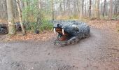 Trail Walking Houppeville - foret monumental - Photo 6