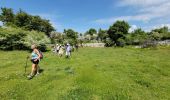 Excursión Senderismo Courmes - Courmes. Saint Barnabé et le champ des Idoles - Photo 14