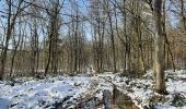 Trail Walking Tinlot - Ramelot sous la neige - Photo 4