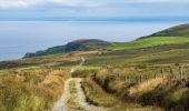 Trail On foot Inishowen Municipal District - Inishowen Head Walk - Photo 5