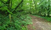 Trail Walking Limerzel - Limerzel Sentier du Sillon - Photo 18