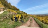 Excursión Bici eléctrica Soultz-Haut-Rhin - Florival  - Photo 5