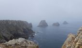 Trail Walking Crozon - pointe de Pen Hir - Photo 2