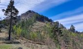 Tour Wandern Clamensane - Clamensane - Col de la Croix - Chapelle St-Amand - Photo 3