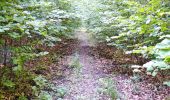 Percorso A piedi Leonberg - DE-SAV Blauer Balken, Höfingen Bahnhof - Weissach - Photo 7