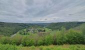 Tocht Stappen Bouillon - rando rochehaut 11 /05/2021 - Photo 16